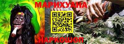 сатива Кандалакша